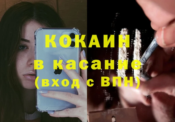 трава Сатка