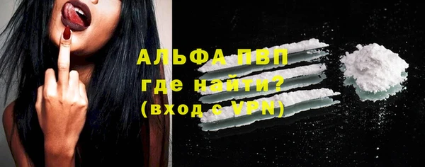 трава Сатка