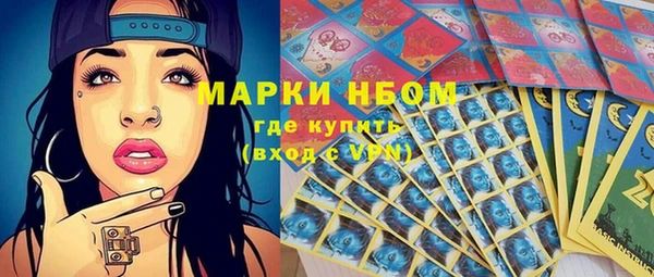 трава Сатка