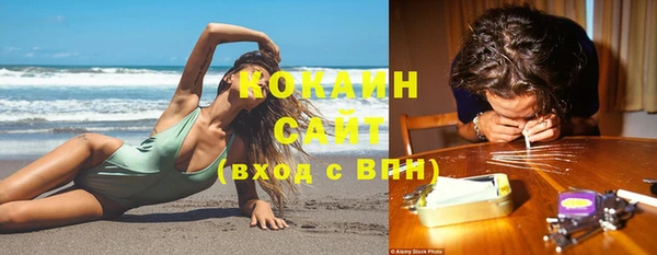 ПСИЛОЦИБИНОВЫЕ ГРИБЫ Волосово