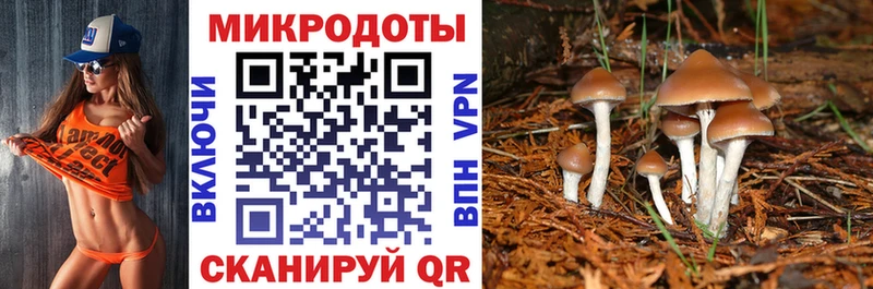 Псилоцибиновые грибы Magic Shrooms  Купить закладки  Зубцов 